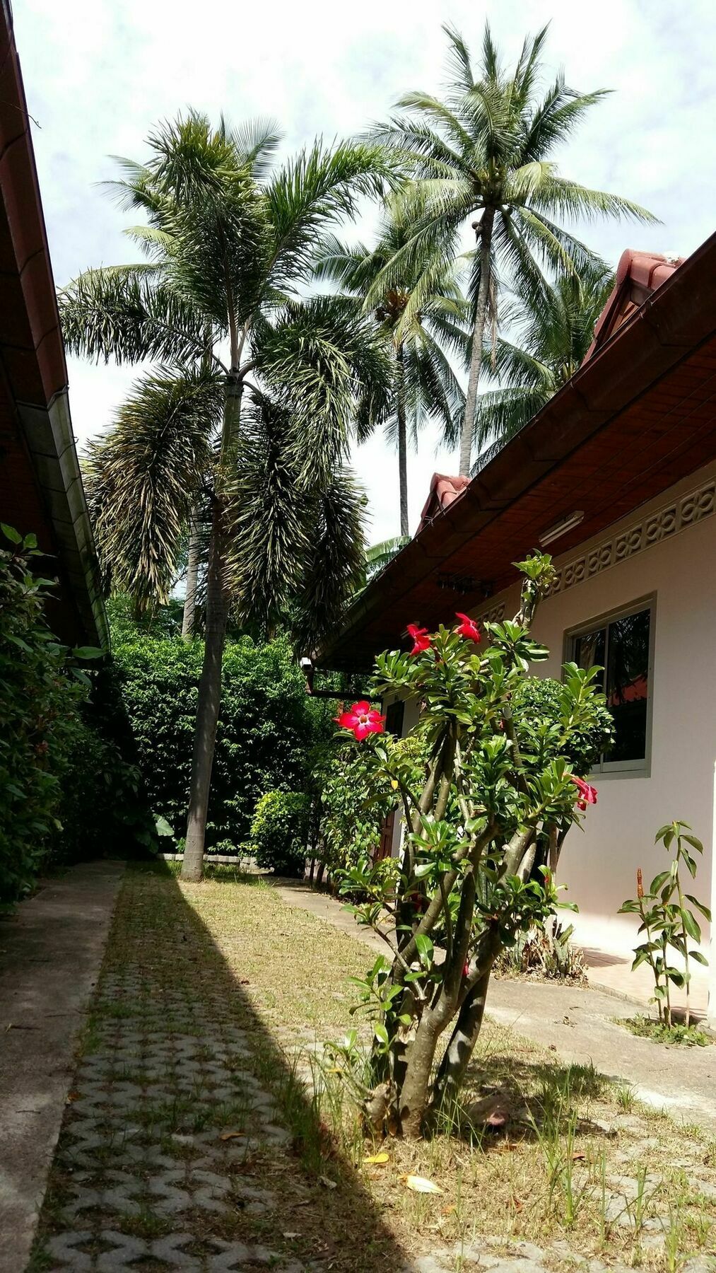 'צ'אוונג ביץ Saver Guesthouse מראה חיצוני תמונה