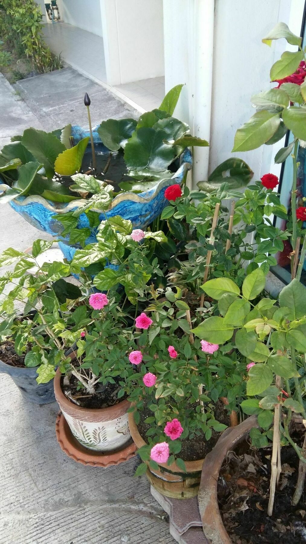 'צ'אוונג ביץ Saver Guesthouse מראה חיצוני תמונה